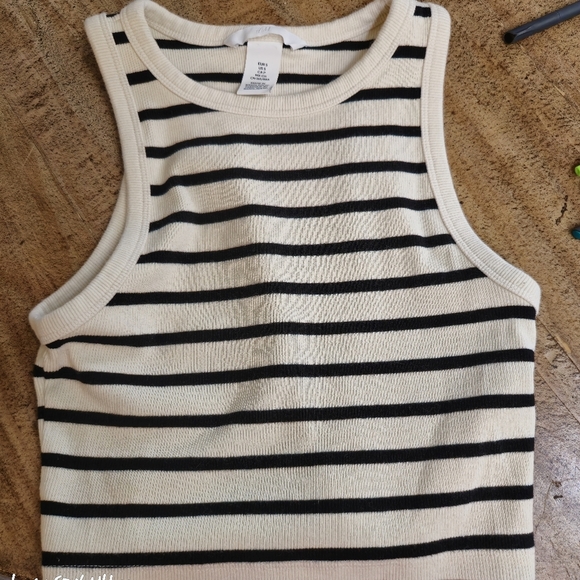 Cropped Tank With Black Stripes From H&M - Picture 2 of 3